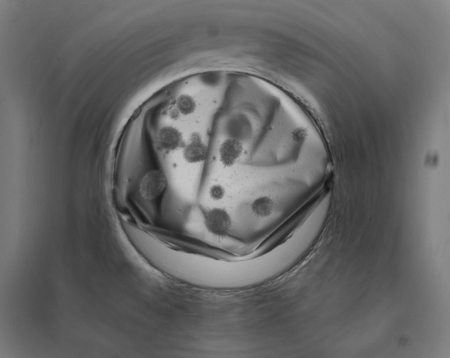 X0000094421528200712061039