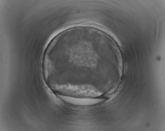 X0000094421530200712061039