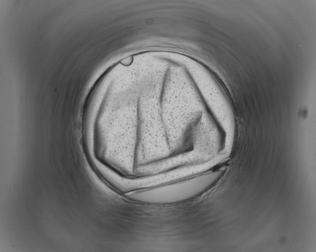 X0000094421531200712061039