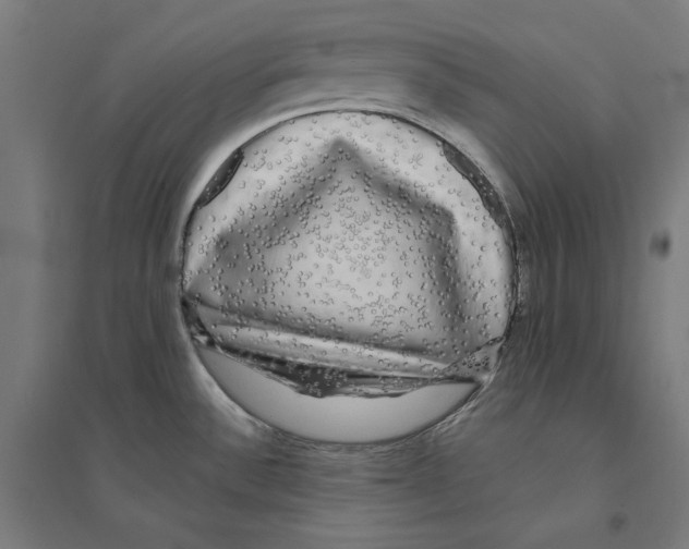 X0000094421532200712061039