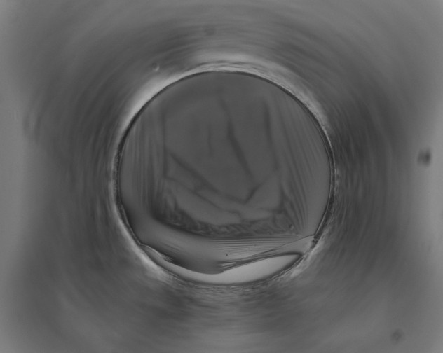 X0000094421533200712061039