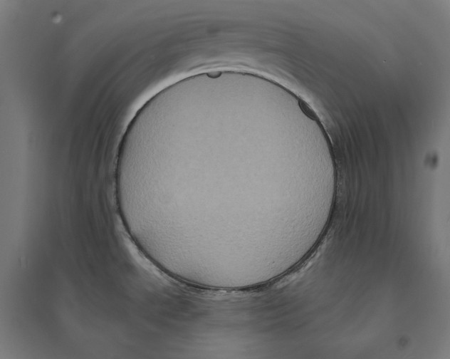 X0000094421534200712061039