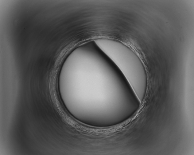 X0000094430001200711081029