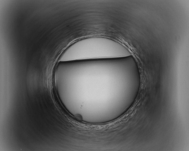 X0000094430002200711081029