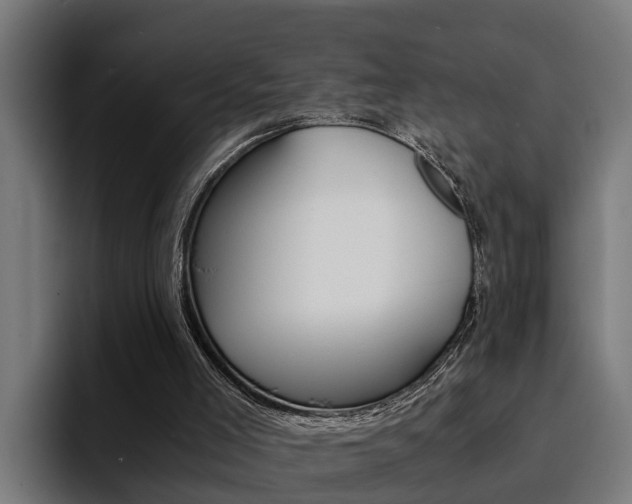 X0000094430005200711081029
