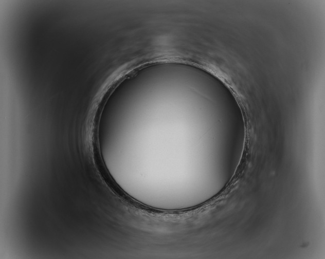 X0000094430007200711081028
