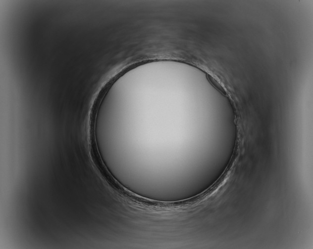 X0000094430008200711081028