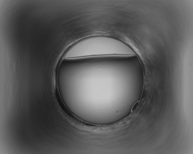 X0000094430011200711081028