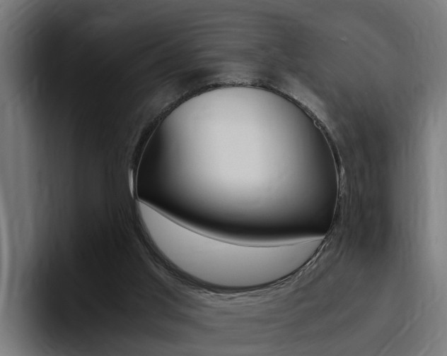 X0000094430013200711081028