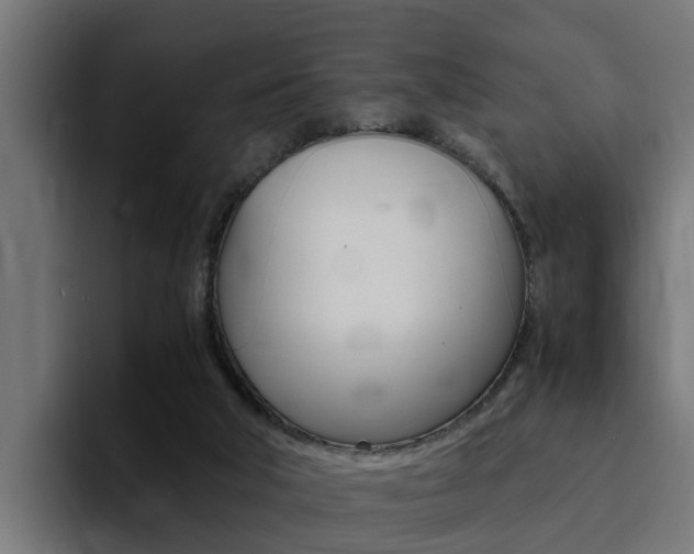 X0000094430018200711081028