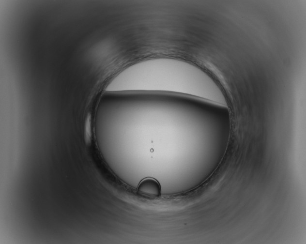 X0000094430020200711081028