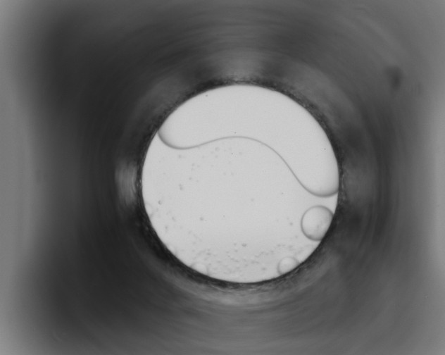 X0000094430024200711081028