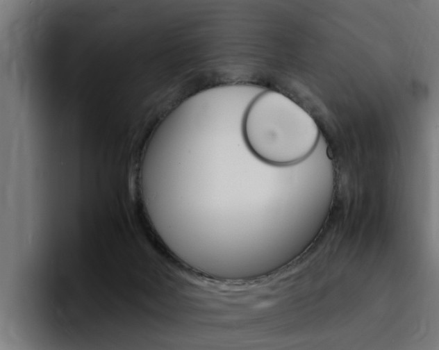 X0000094430026200711081028