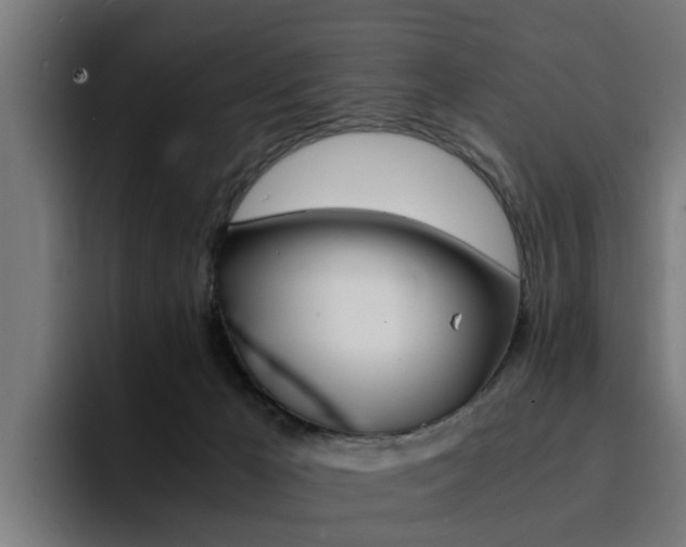 X0000094430029200711081028