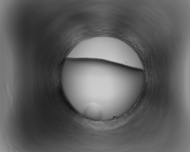 X0000094430030200711081028