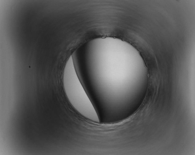 X0000094430031200711081028