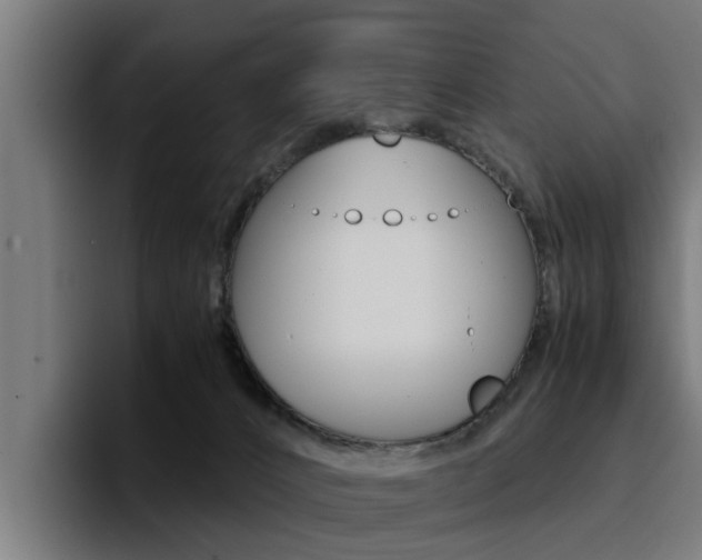 X0000094430032200711081028