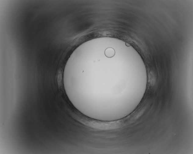 X0000094430036200711081028