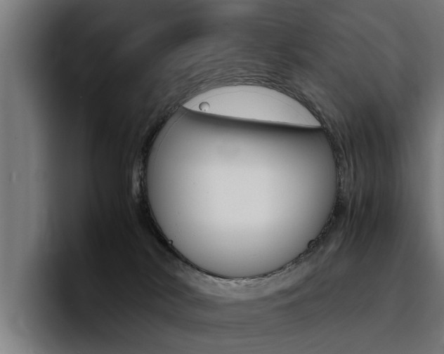 X0000094430038200711081028