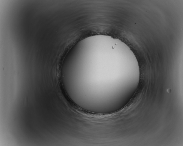 X0000094430040200711081028
