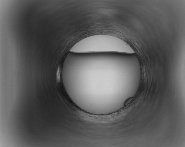 X0000094430042200711081028