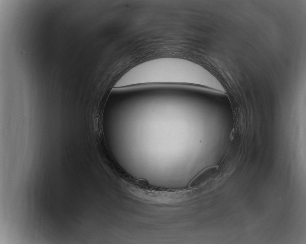 X0000094430044200711081028