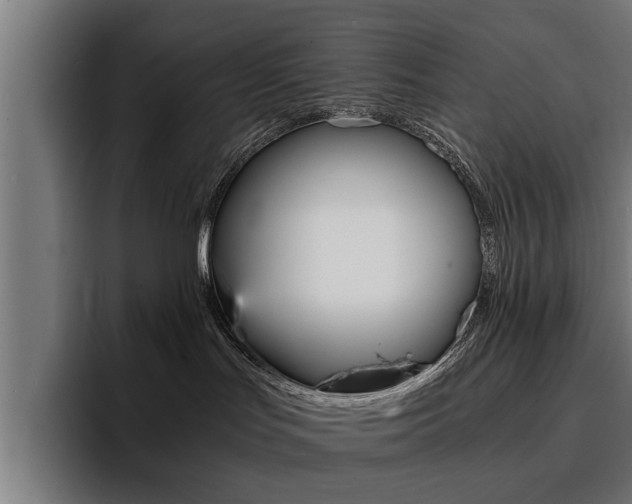 X0000094430047200711081028