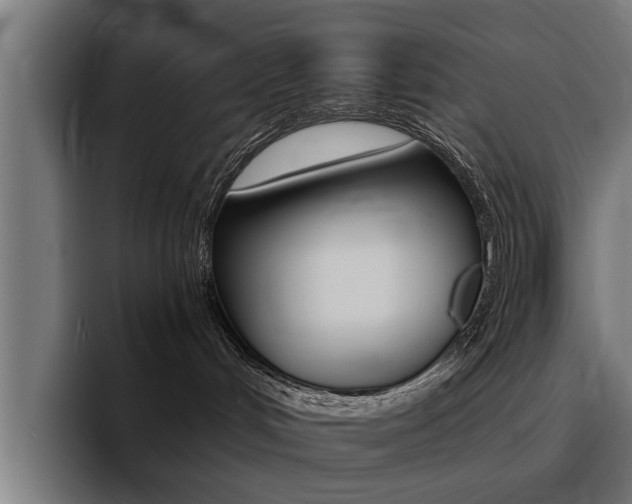 X0000094430048200711081028