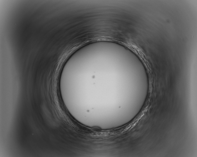 X0000094430049200711081027