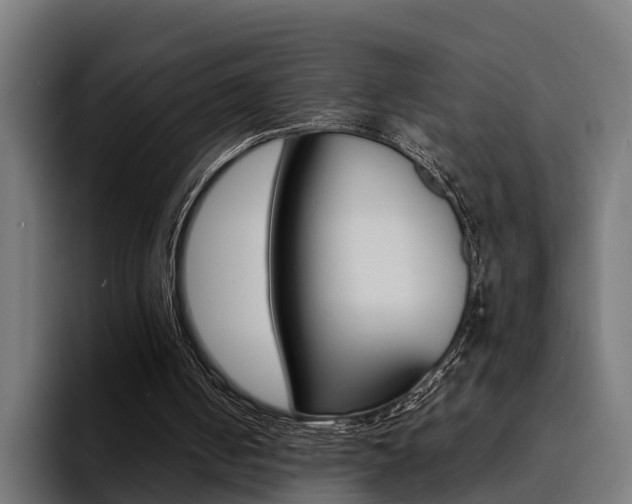 X0000094430050200711081027