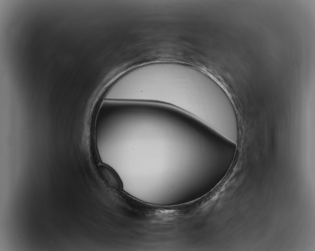 X0000094430055200711081027