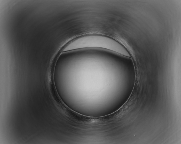 X0000094430060200711081027