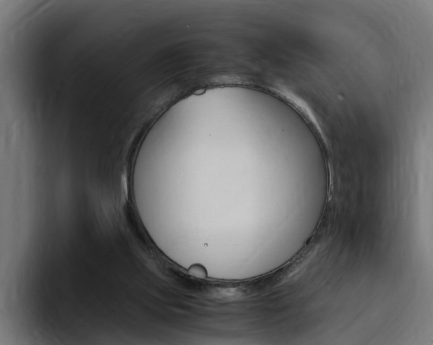 X0000094430061200711081027