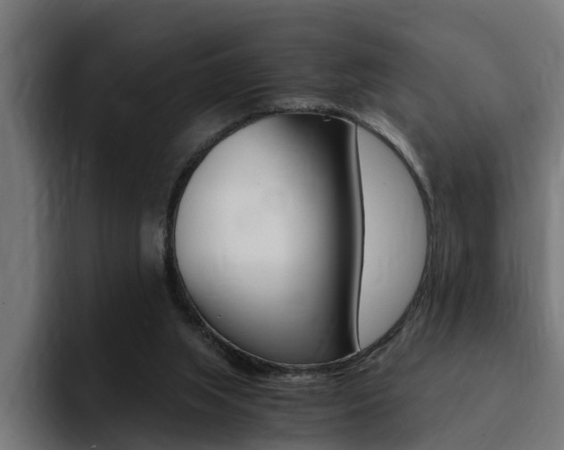 X0000094430063200711081027