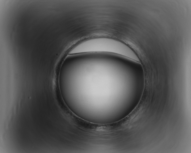 X0000094430064200711081027