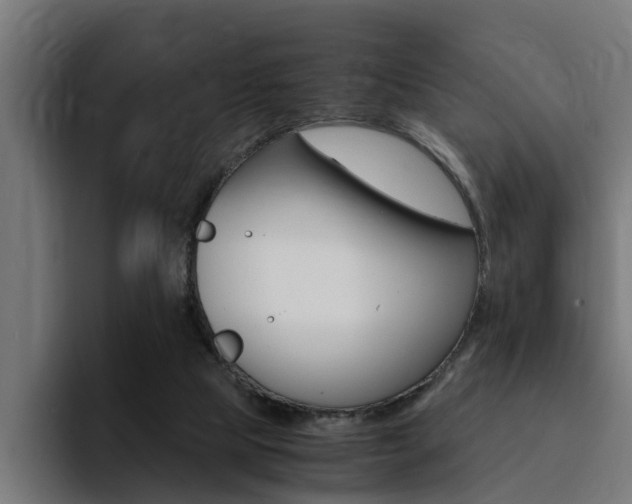 X0000094430065200711081027