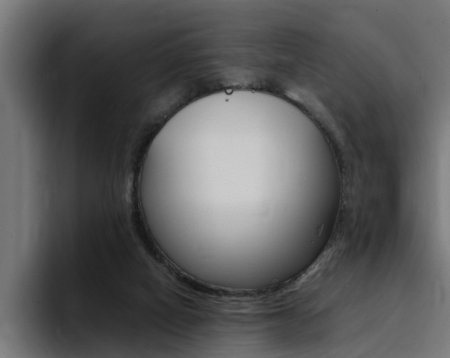 X0000094430066200711081027