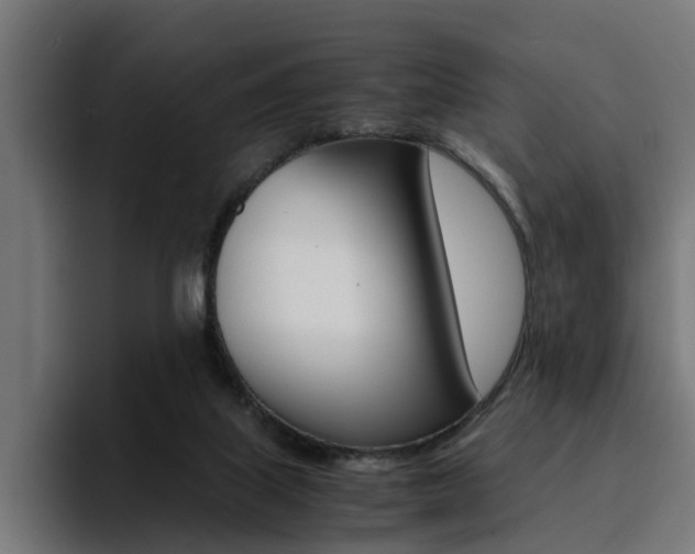 X0000094430067200711081027