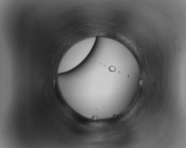 X0000094430069200711081027
