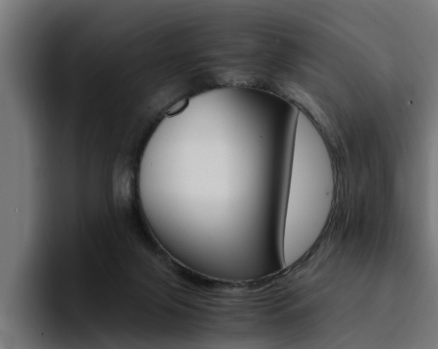 X0000094430071200711081027