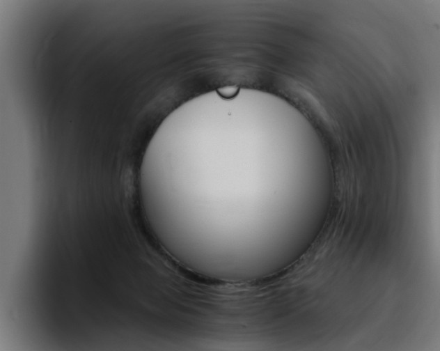X0000094430077200711081028