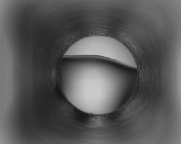 X0000094430079200711081028
