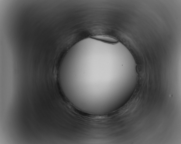 X0000094430081200711081028