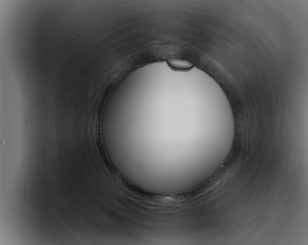 X0000094430083200711081028
