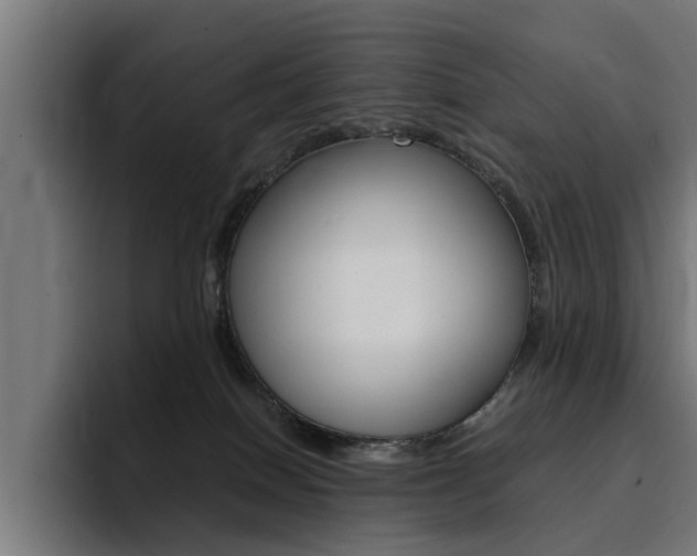X0000094430086200711081028
