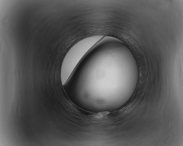 X0000094430096200711081028