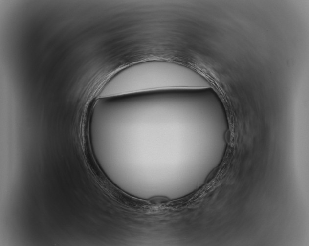 X0000094430098200711081027
