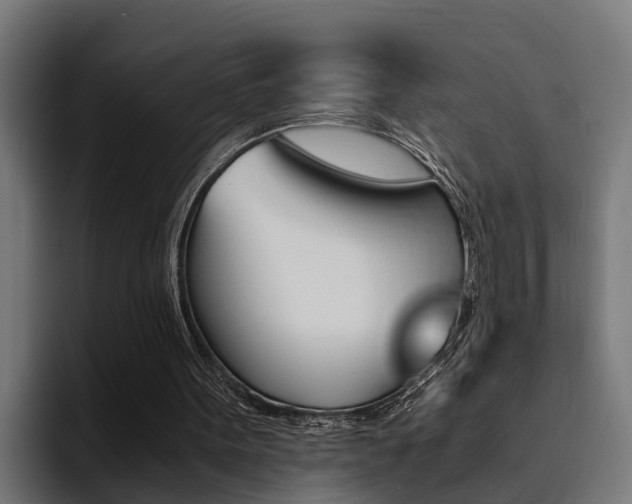 X0000094430099200711081027