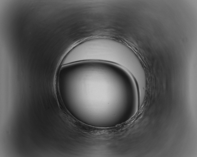 X0000094430100200711081027