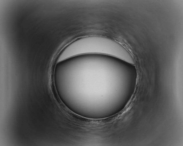 X0000094430101200711081027